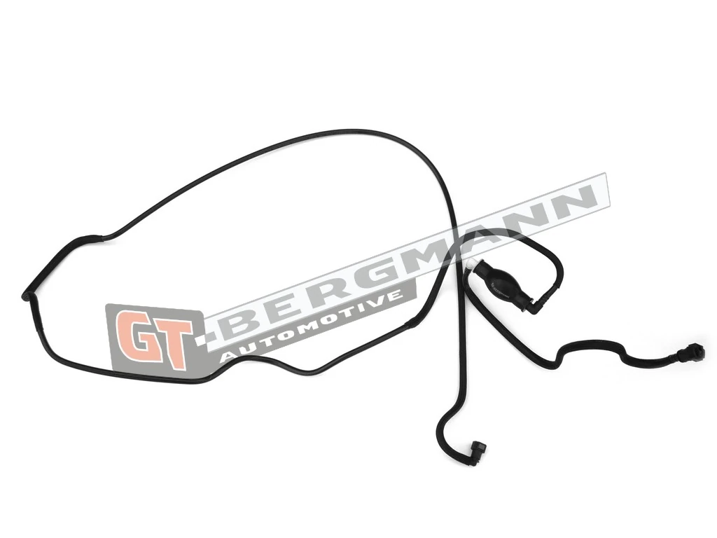 Fuel Hose GT52-221
