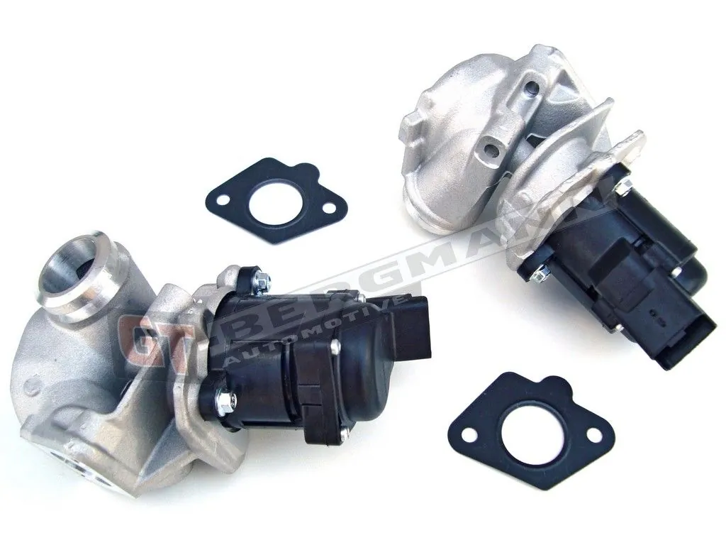 EGR Valve GT55-017