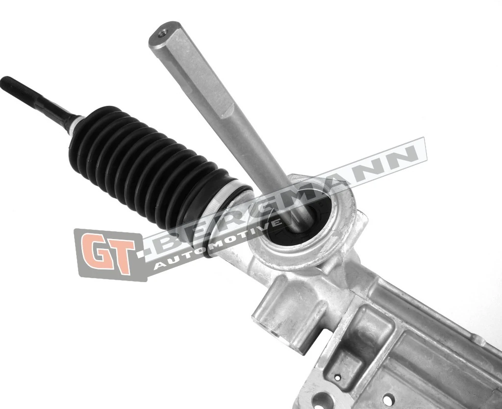 Steering Gear GT30-014