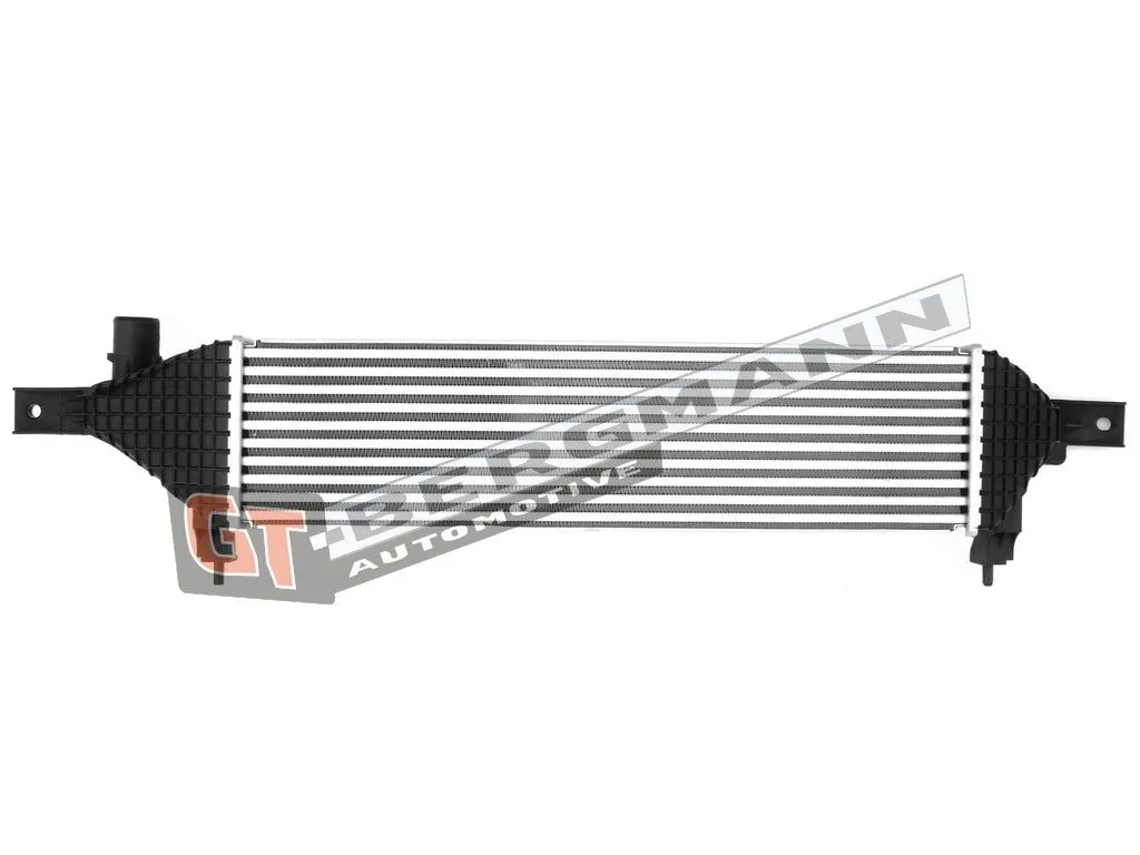 Expansion Tank, coolant GT15-008