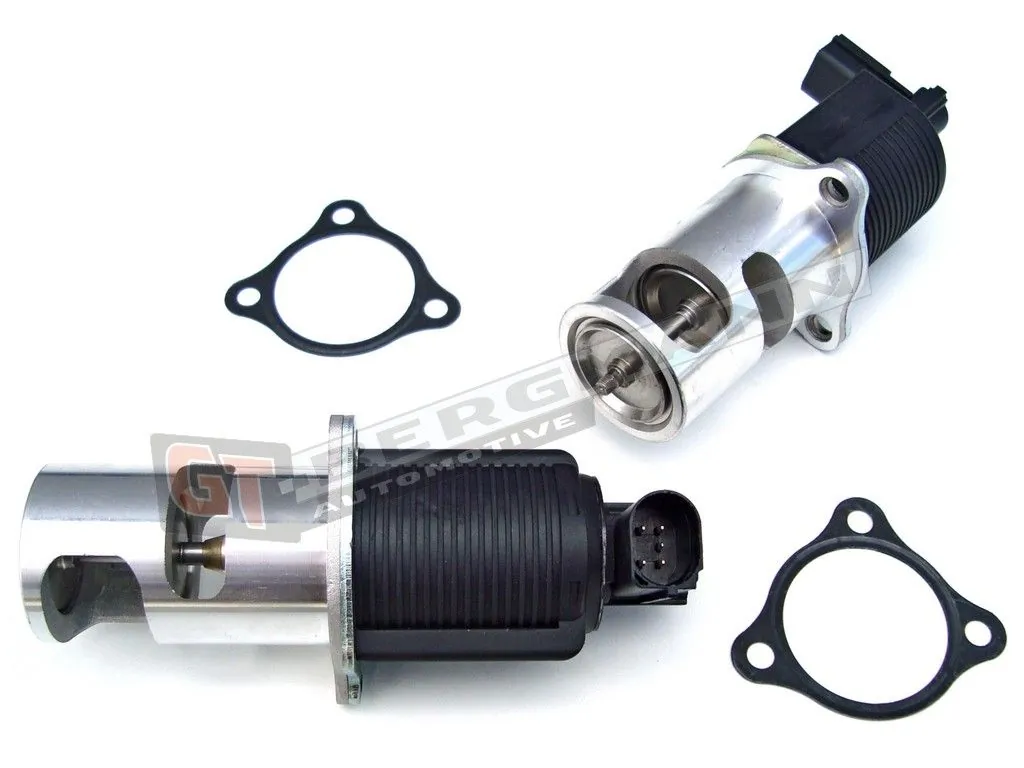 EGR Valve GT55-013