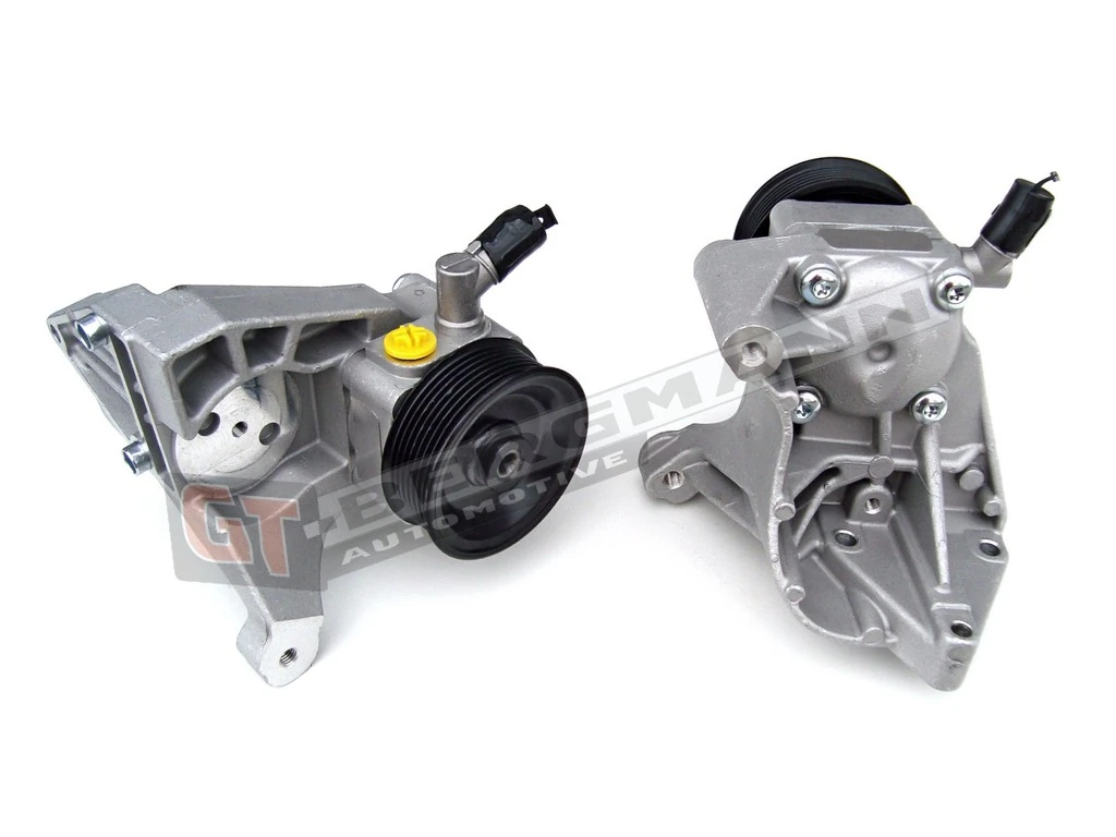 Hydraulic Pump, steering GT32-001