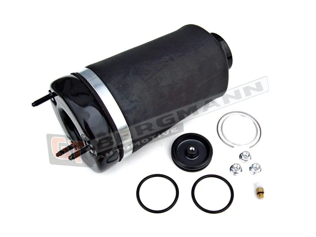 Air Suspension Strut GT25-003