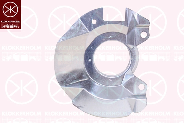 Splash Guard, brake disc 3265378