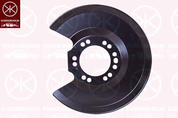 Splash Guard, brake disc 2555879