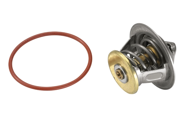 Thermostat, coolant 4007.80D