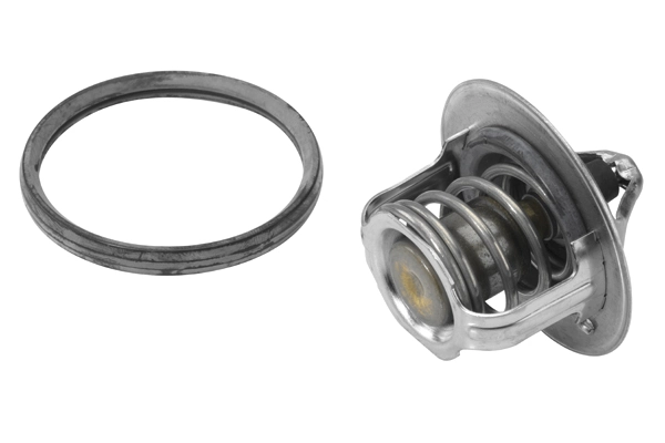 Thermostat, coolant 411241.82D