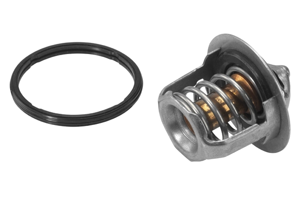 Thermostat, coolant 411716.88D