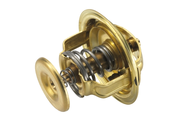 Thermostat, coolant 4126.88