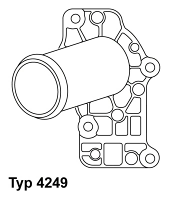 Thermostat, coolant 4249.83D