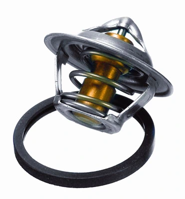 Thermostat, coolant 3017.92D2
