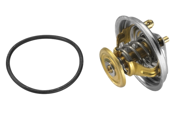 Thermostat, coolant 4237.80D