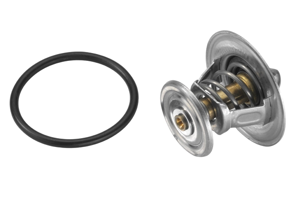 Thermostat, coolant 4264.84D