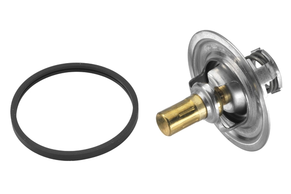 Thermostat, coolant 4447.85D