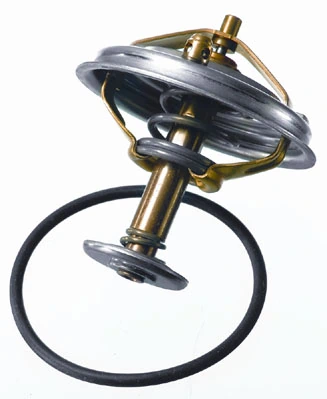 BorgWarner (Wahler) 4137.80D Thermostat, coolant