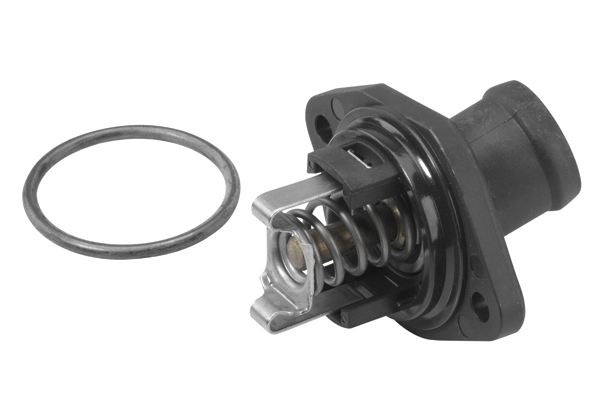 BorgWarner (Wahler) 410989.80D Thermostat, coolant