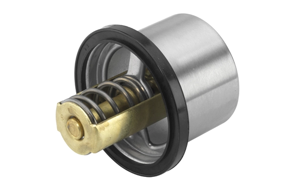 BorgWarner (Wahler) 4619.75 Thermostat, coolant