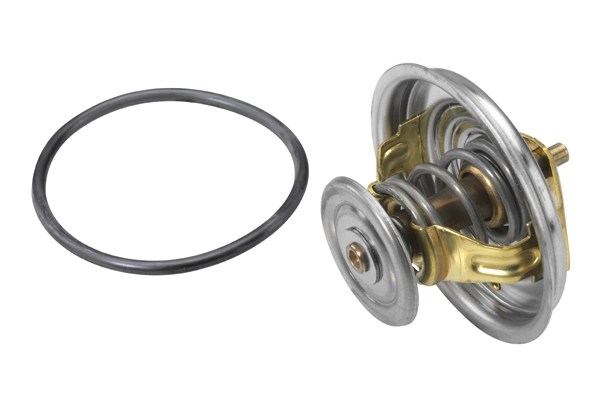 Thermostat, coolant 4274.92D