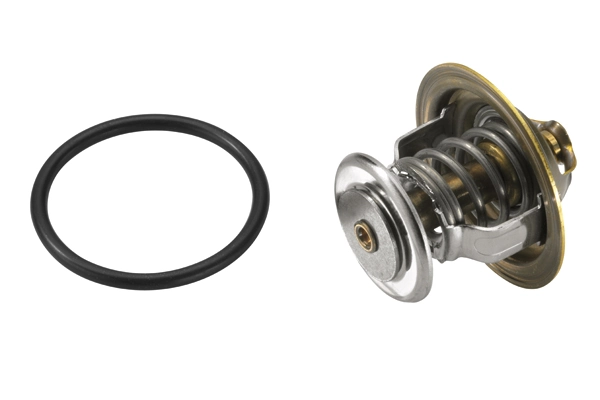 Thermostat, coolant 4255.87D