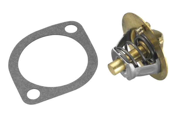 BorgWarner (Wahler) 3119.82D4 Thermostat, coolant
