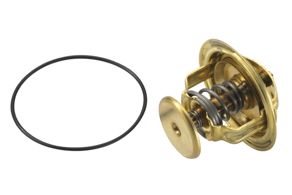 Thermostat, coolant 4022.82D1