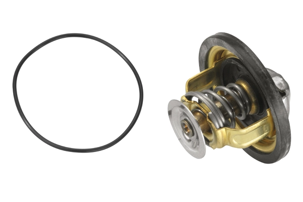 Thermostat, coolant 4174.79D