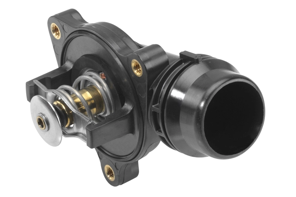 BorgWarner (Wahler) 410793.95D Thermostat, coolant