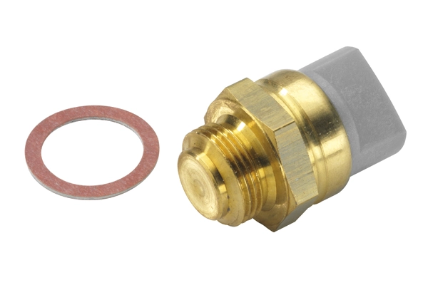 Temperature Switch, radiator fan 6017.85D