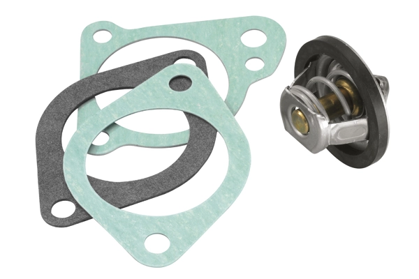 Thermostat, coolant 3021.92D50