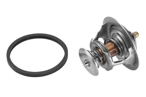 Thermostat, coolant 4446.83D