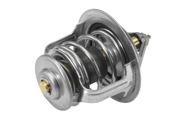 BorgWarner (Wahler) 4634.76 Thermostat, coolant