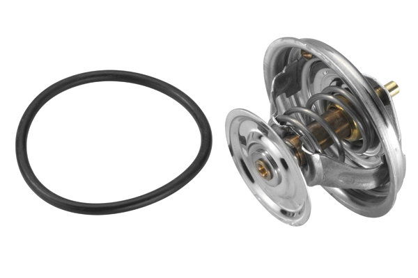 Thermostat, coolant 4165.79D