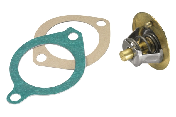 Thermostat, coolant 3119.82D3