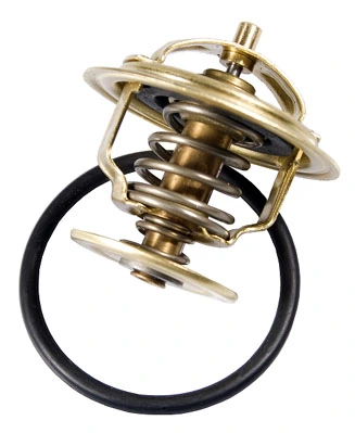 Thermostat, coolant 4253.87D