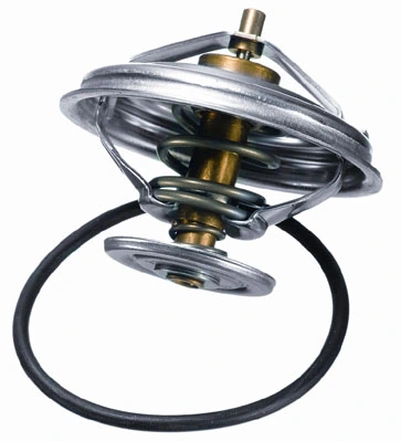 BorgWarner (Wahler) 4236.92D Thermostat, coolant