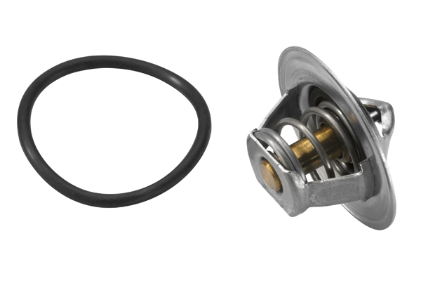 Thermostat, coolant 3167.83D