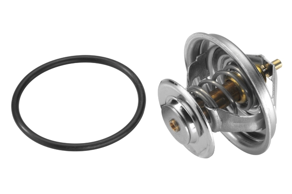 Thermostat, coolant 4105.79D