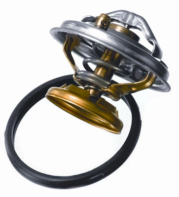 Thermostat, coolant 4176.85D