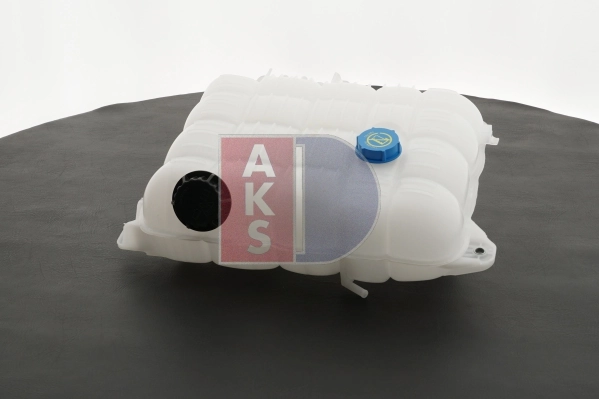 Expansion Tank, coolant 283004N