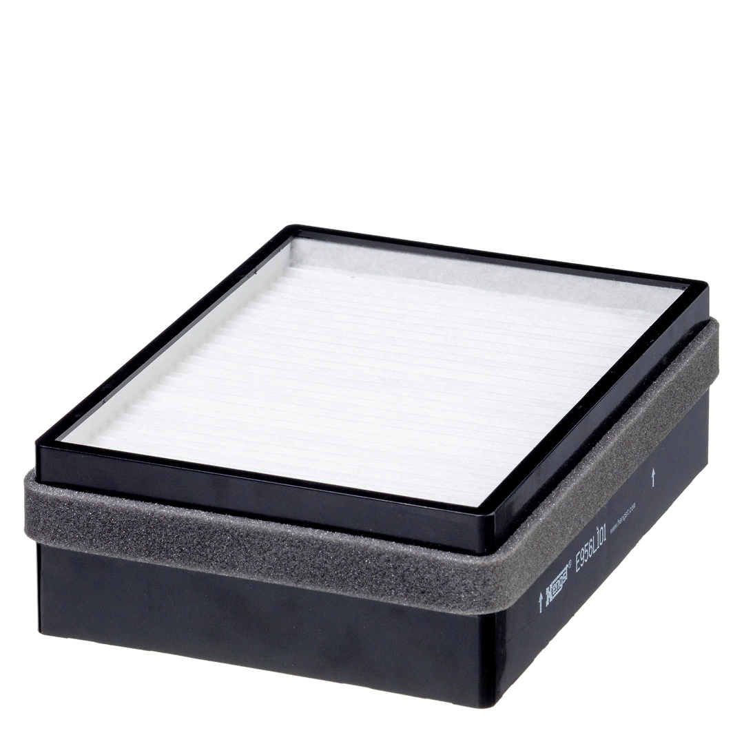 Filter, cabin air E956LI01