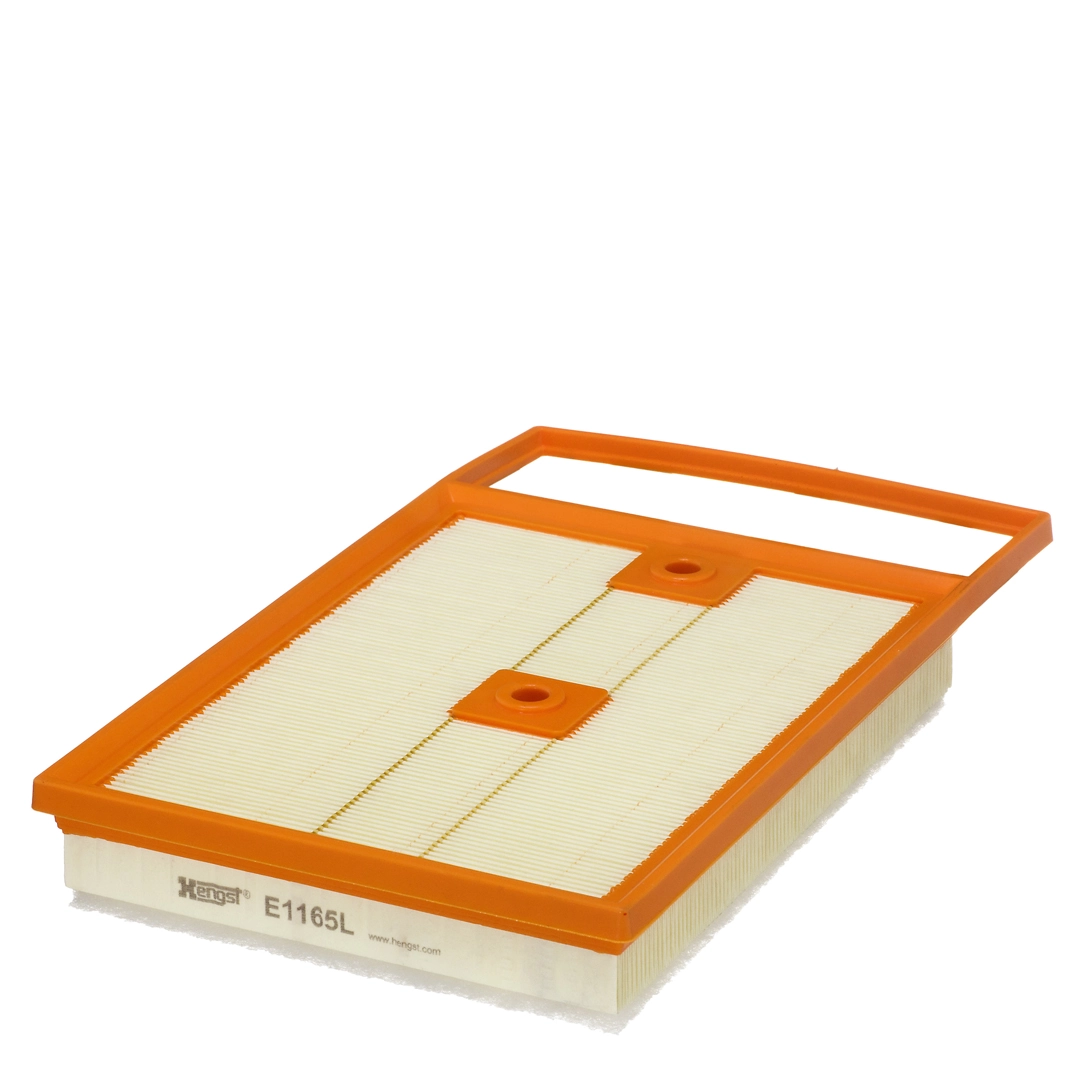 Air Filter E1165L