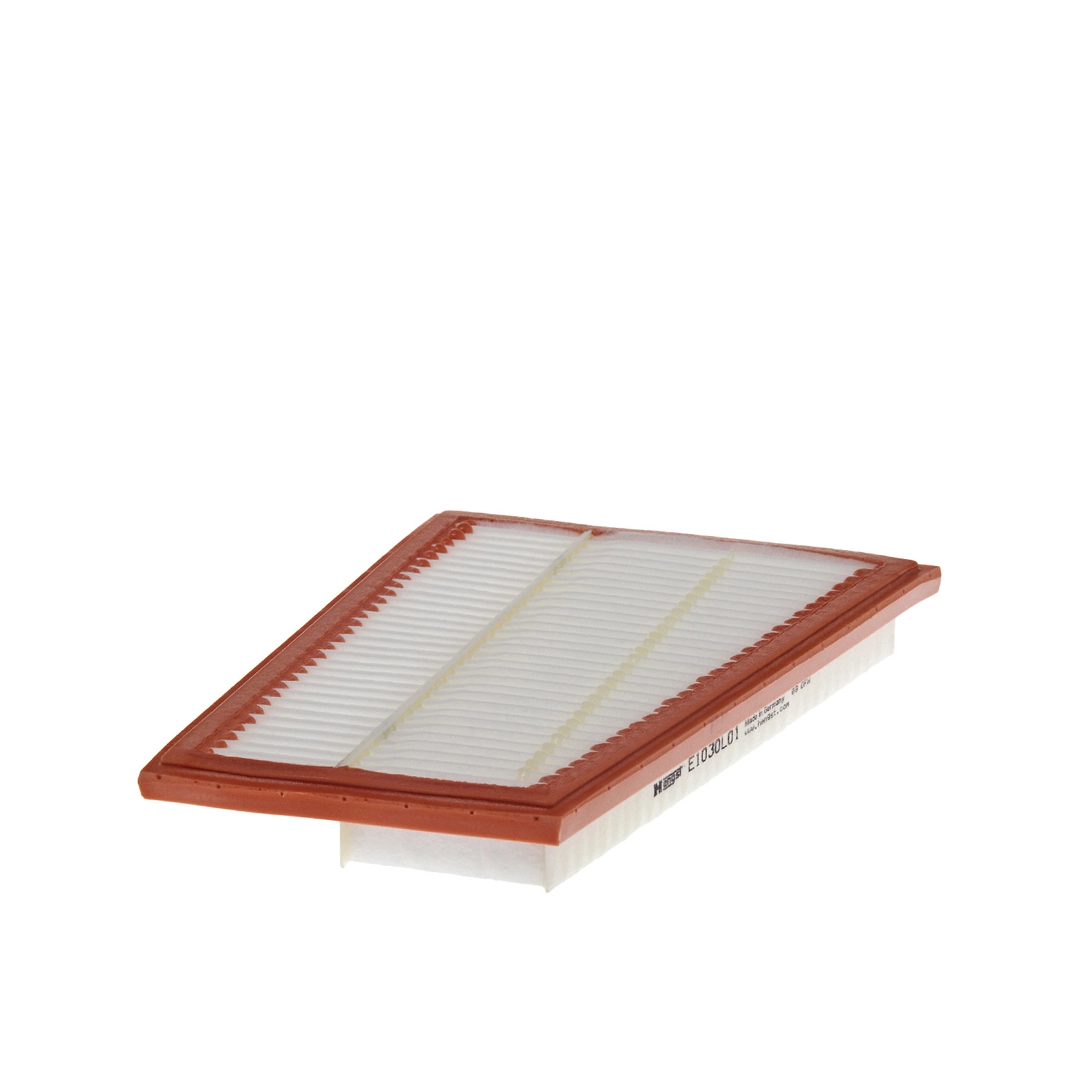 Air Filter E1030L01
