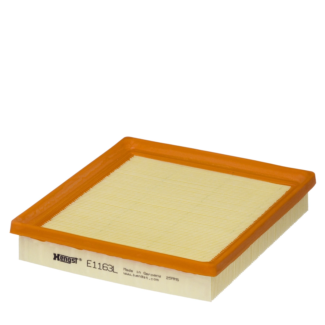 Air Filter E1163L