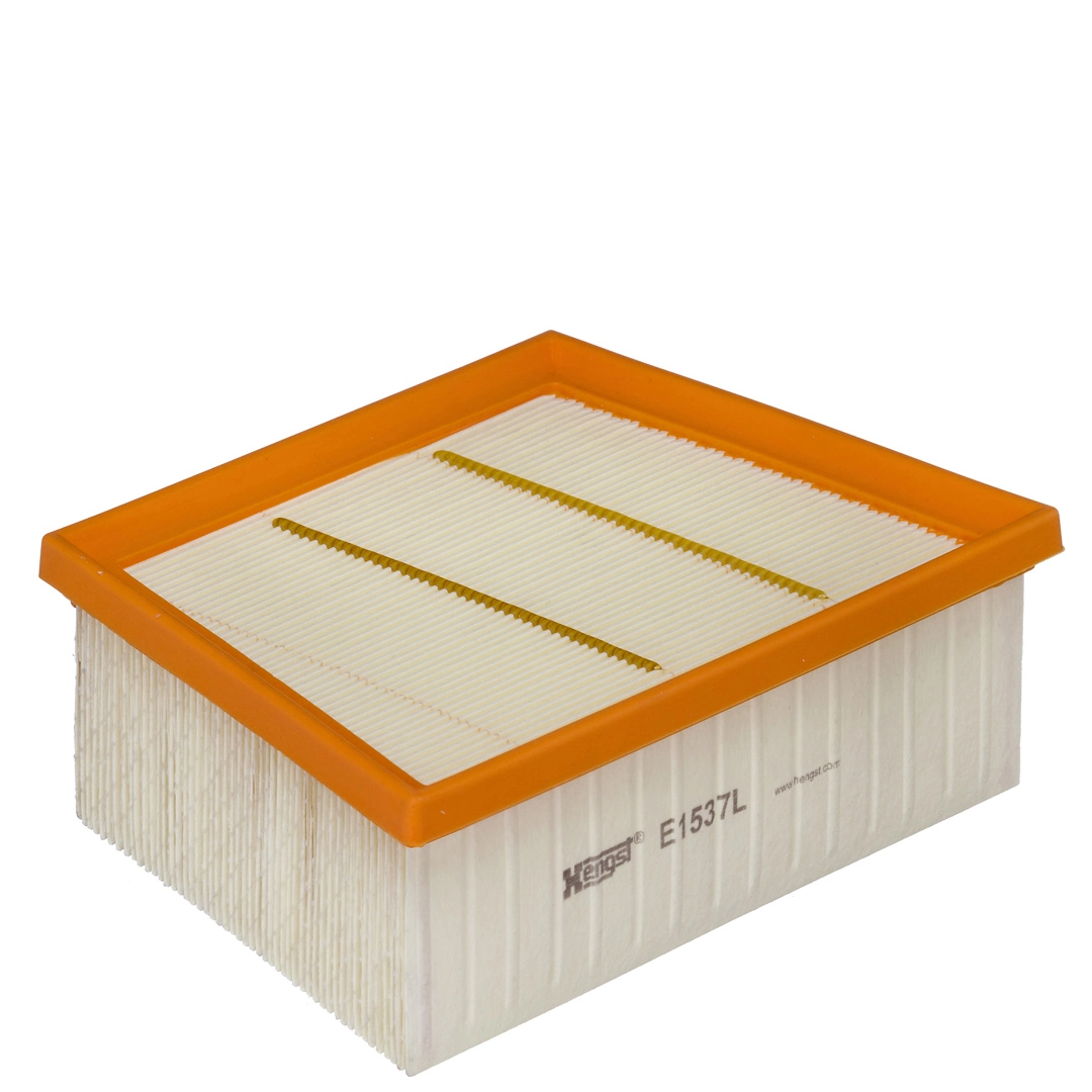 Air Filter E1537L