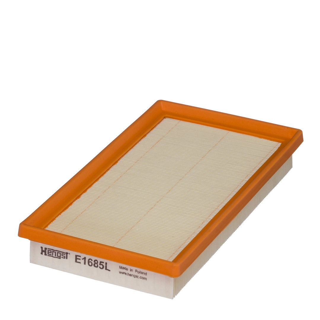 Air Filter E1685L