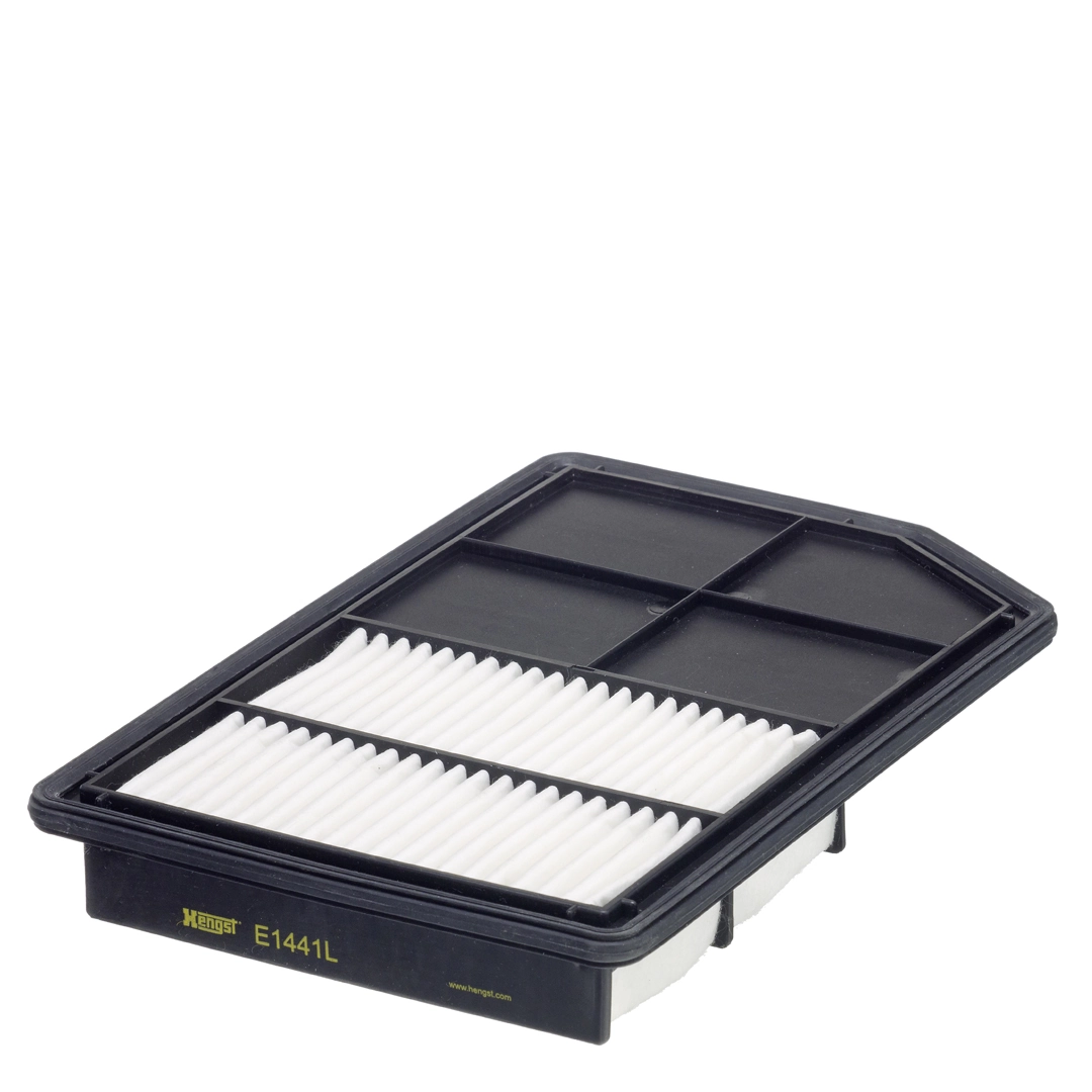 Air Filter E1441L