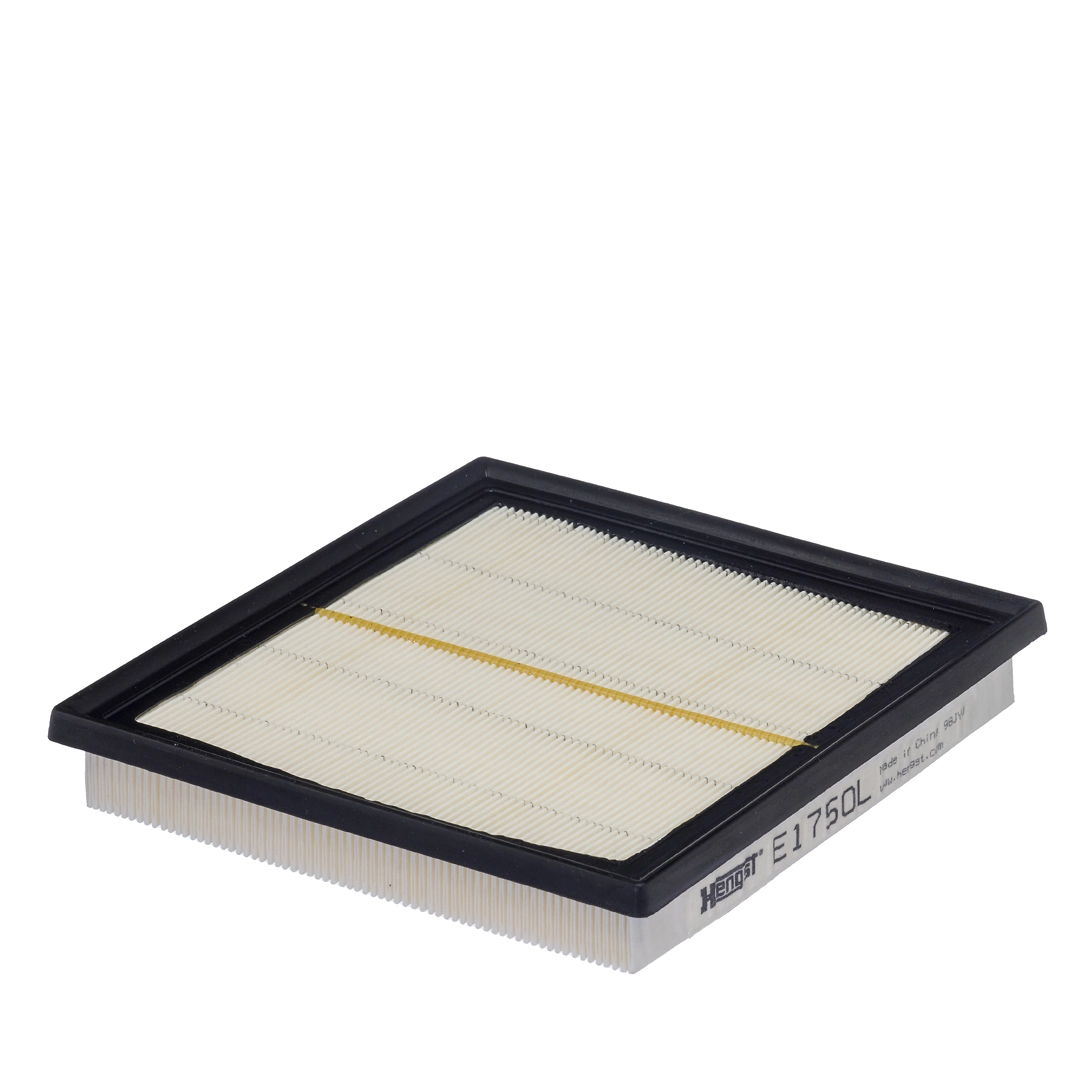 Air Filter E1750L