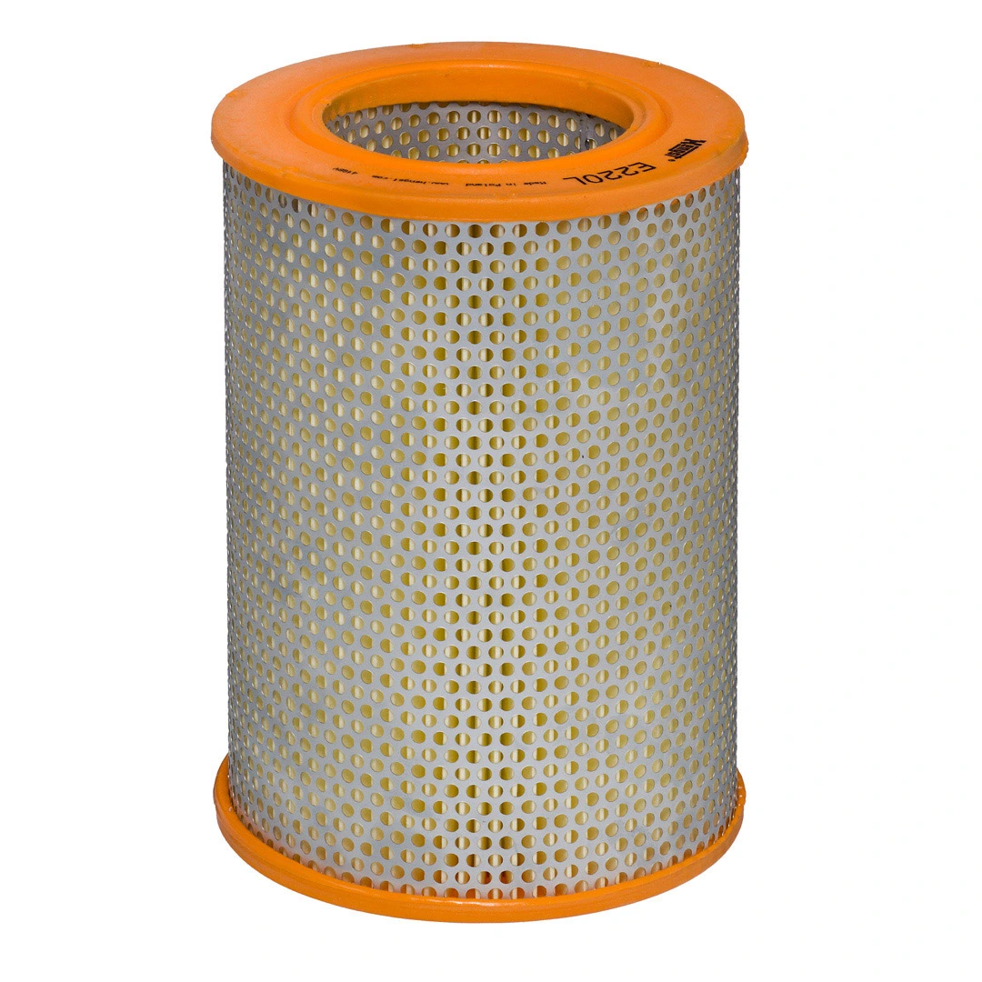 Air Filter E220L