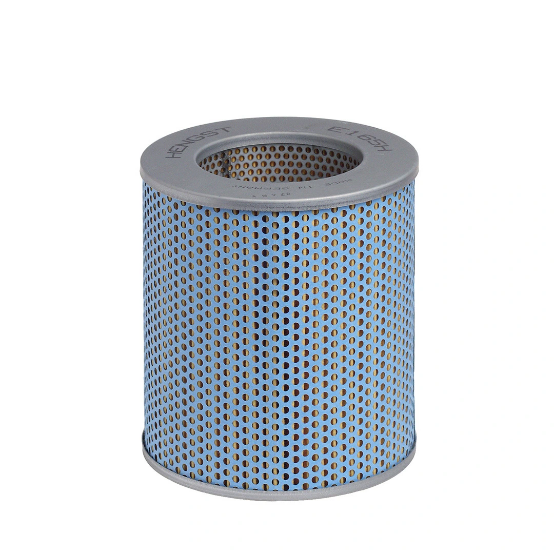 Oil Filter E165H