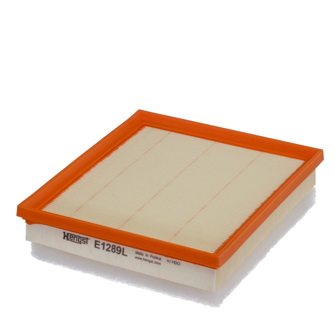 Air Filter E1289L